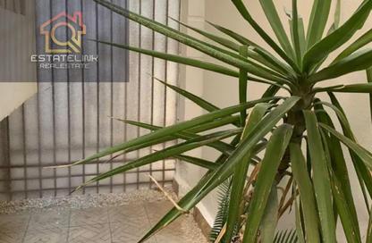Apartment - 2 - 1 for sale in El Narges Buildings - Al Narges - New Cairo City - Cairo Apartment - 2 - 1 for sale in El Narges Buildings - Al Narges - New Cairo City - Cairo