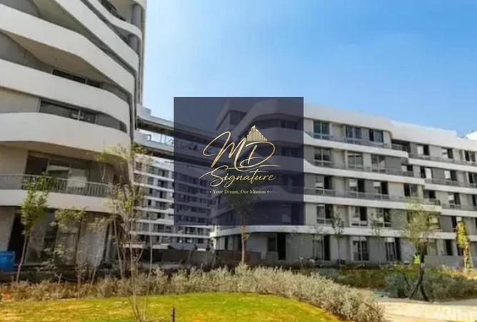 81045454 - صورة العقار 3
