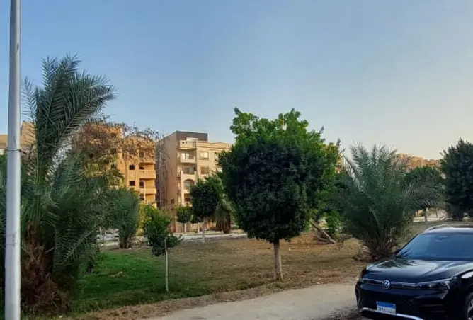118026950 - صورة العقار 3