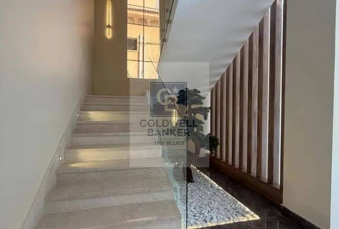 117521942 - Property Image 3