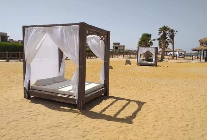 8487749 - Property Image 3