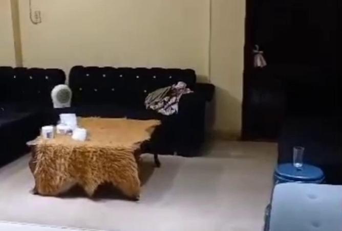 58982042 - صورة العقار 2