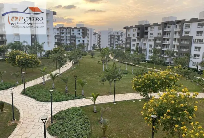 116746956 - Property Image 3