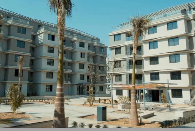 68007253 - Property Image 3