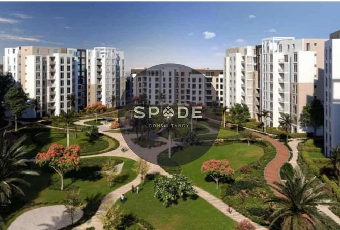 56251862 - Property Image 3