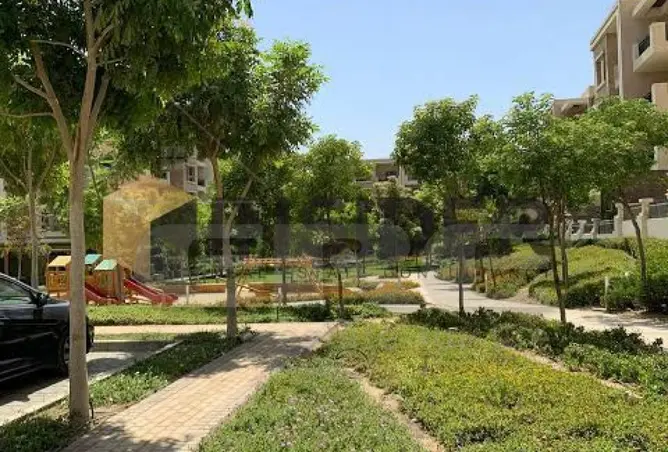 118288456 - Property Image 2