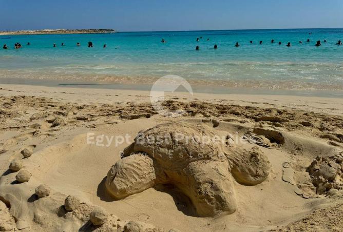 2P68noFm2Ii - صورة العقار 2