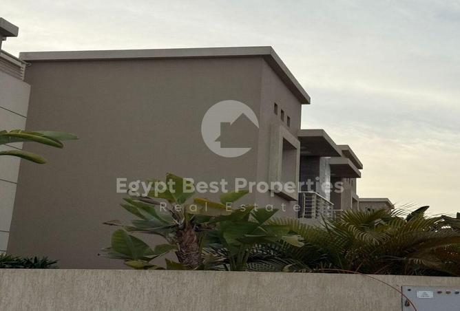 98006924 - صورة العقار 3