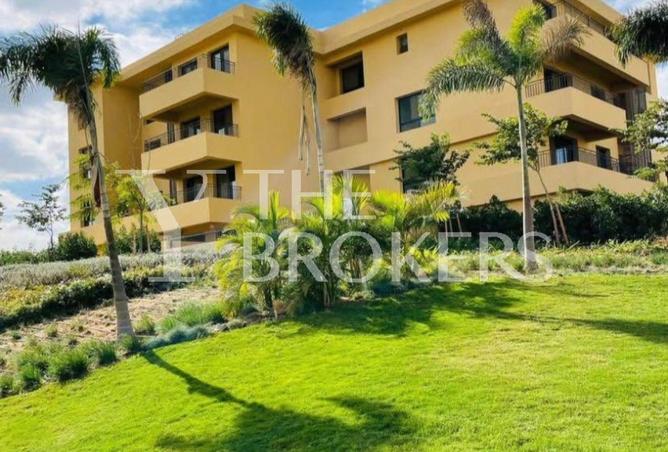 8672404 - صورة العقار 3