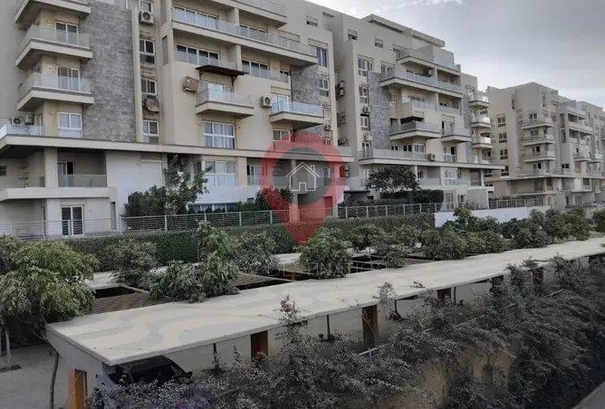 116744806 - Property Image 3