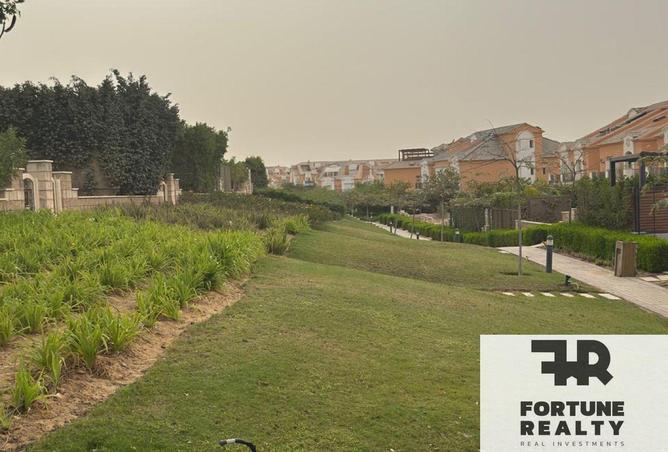 8536431 - Property Image 3