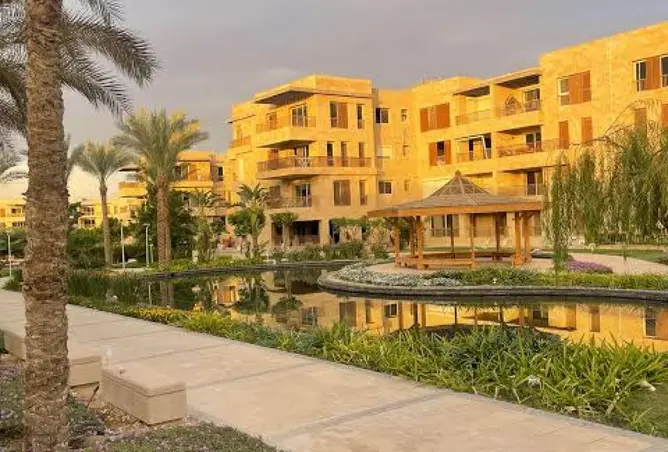 118293845 - Property Image 3