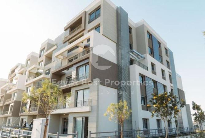 52452972 - Property Image 3