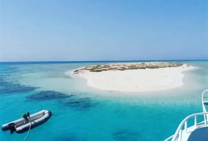 81833145 - صورة العقار 3