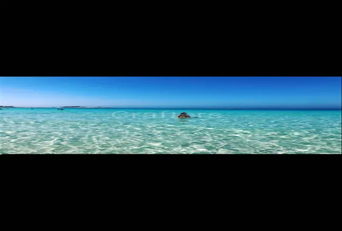 86675614 - صورة العقار 3