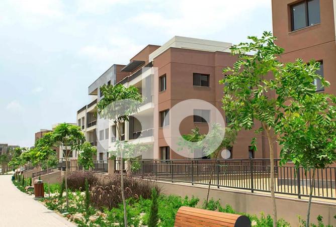 71918479 - Property Image 2
