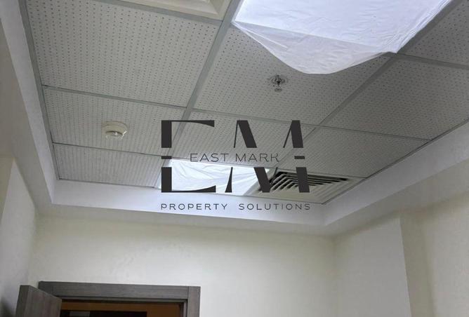 8699630 - Property Image 3