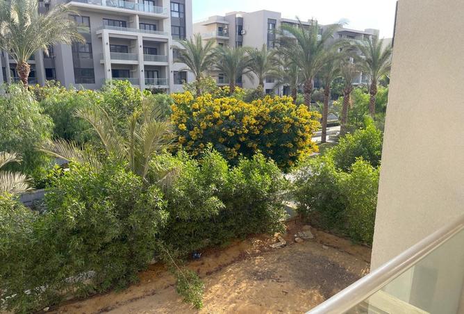 61926015 - Property Image 3