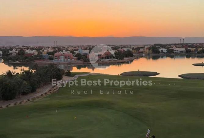 107978950 - Property Image 3