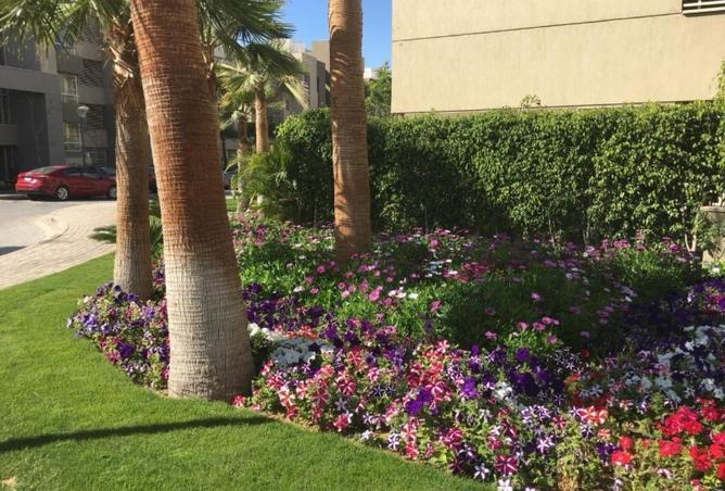 59501087 - Property Image 2