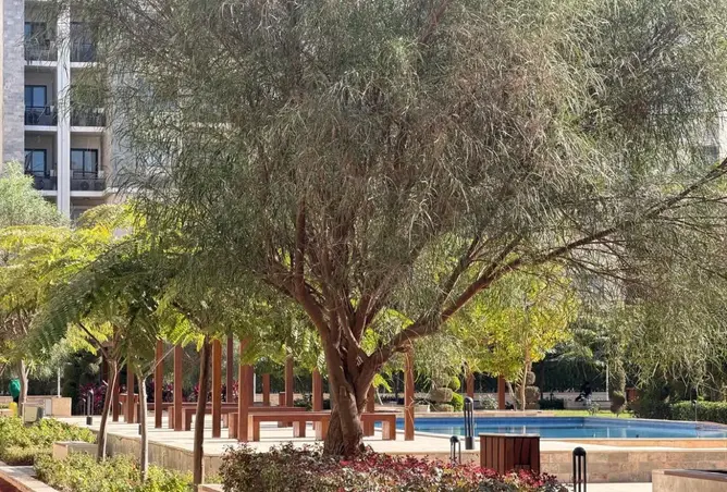 112701839 - صورة العقار 2