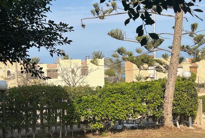 8647103 - صورة العقار 3