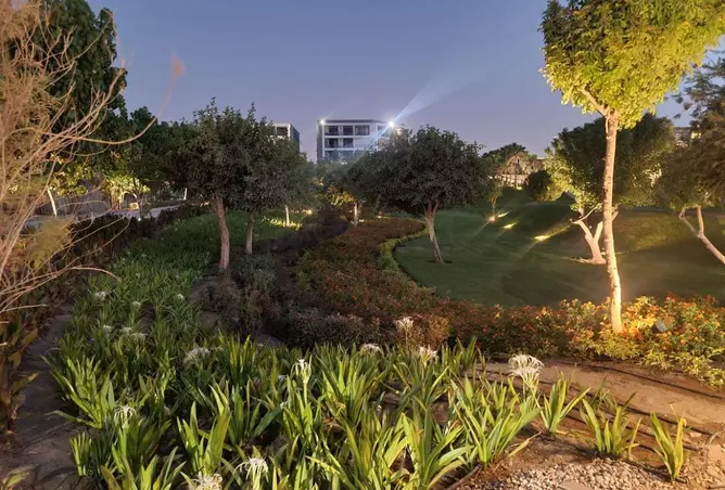 109640464 - Property Image 3