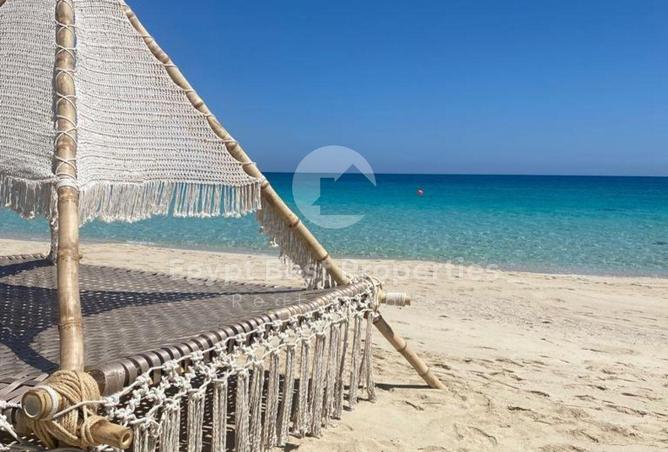 69566035 - صورة العقار 2