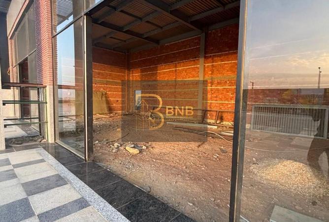 55506456 - Property Image 2