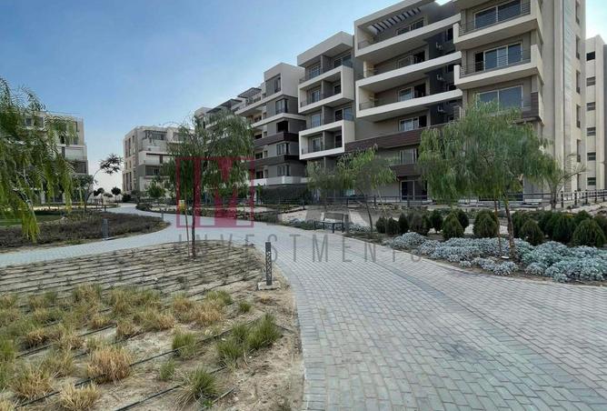 56249211 - Property Image 2