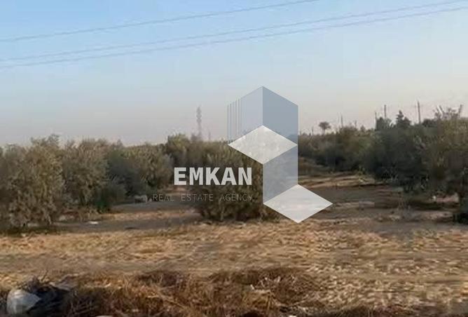 66422078 - Property Image 3