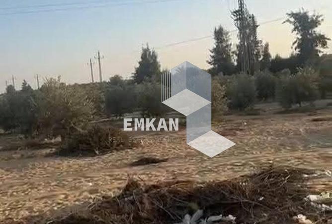 66422078 - Property Image 2