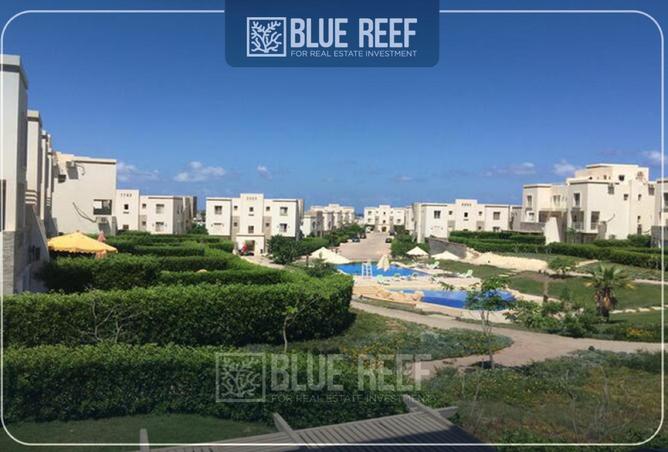 67472689 - صورة العقار 2