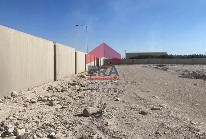 71644808 - Property Image 2