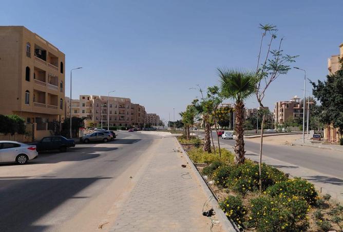 70626149 - Property Image 3