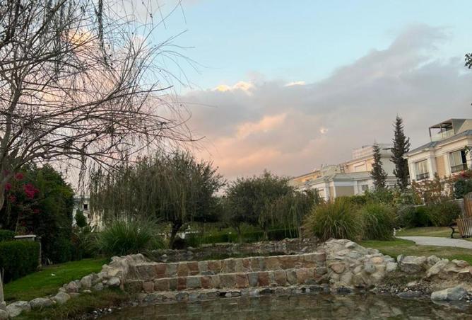 8555525 - صورة العقار 3