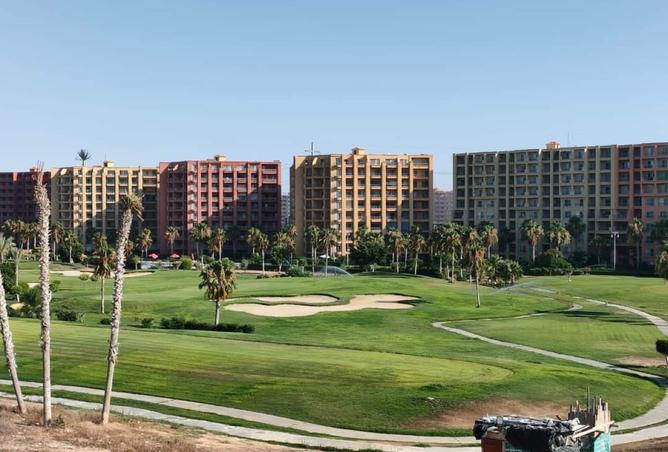 8498840 - Property Image 3