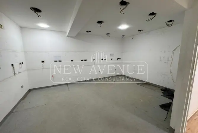 119589302 - Property Image 2
