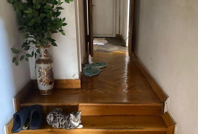 8684478 - Property Image 3