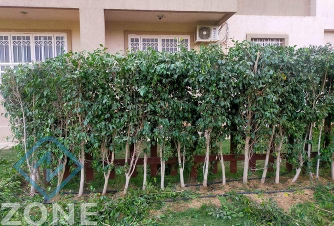 8625394 - صورة العقار 2