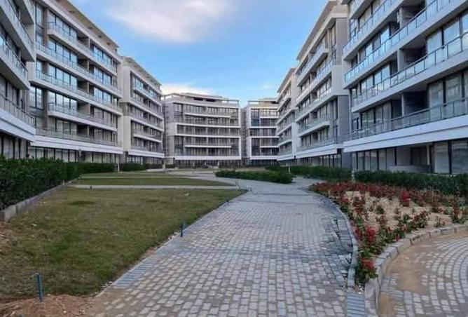 70358503 - صورة العقار 3