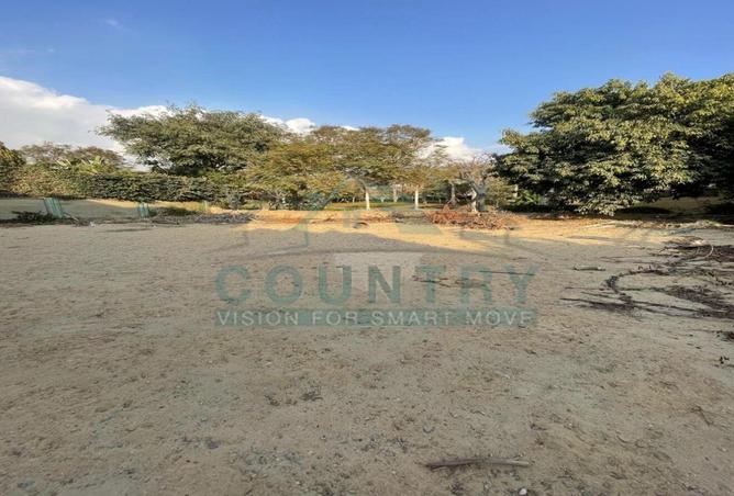 67995593 - Property Image 3