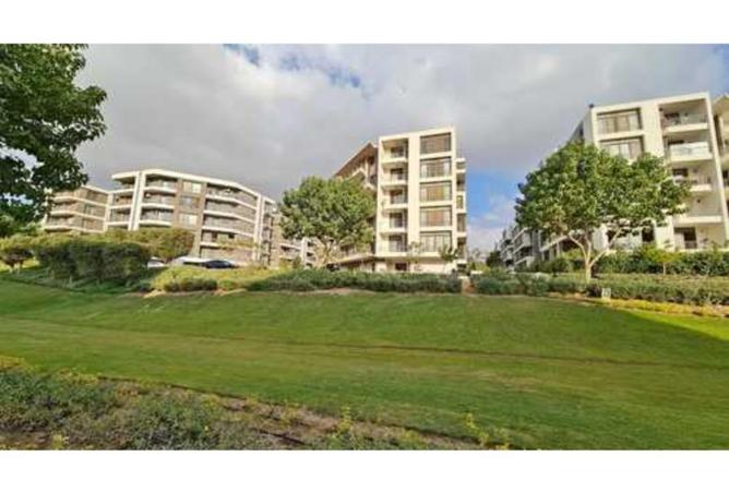 56263371 - Property Image 3