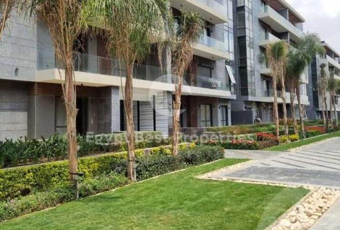 8577690 - Property Image 3