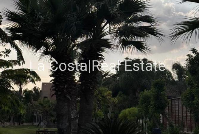 2OifEIaydcG - صورة العقار 3