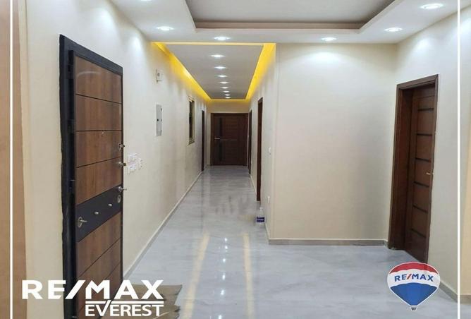 58493849 - Property Image 3