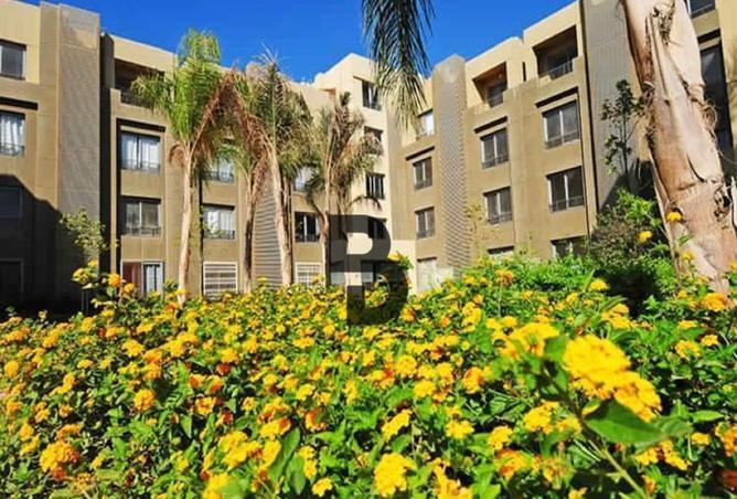 81302908 - الصورة الرئيسية للعقار