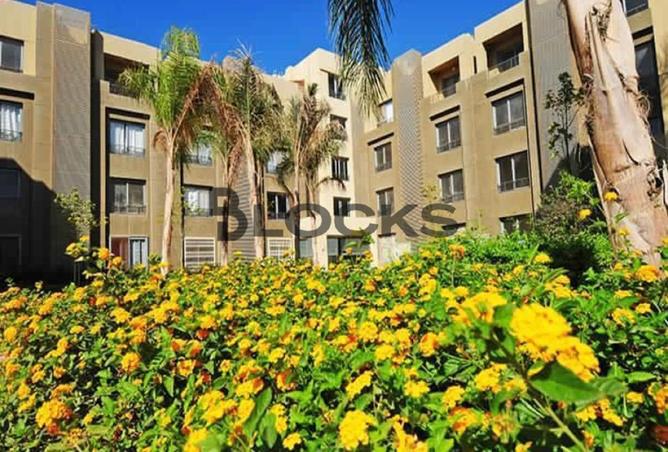 81302908 - الصورة الرئيسية للعقار