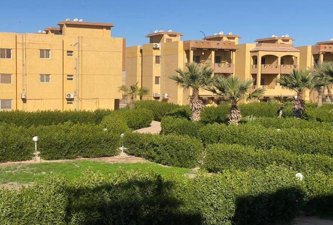 85047528 - Property Image 3