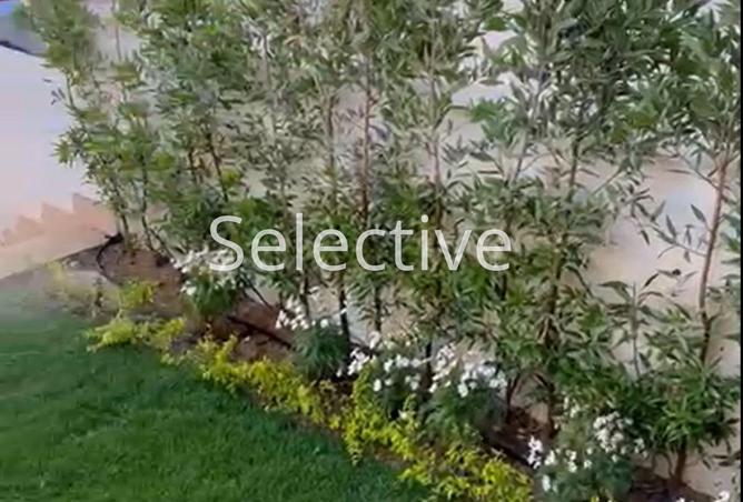 66427667 - صورة العقار 2